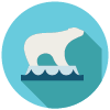 Illustration of polar bear on ice